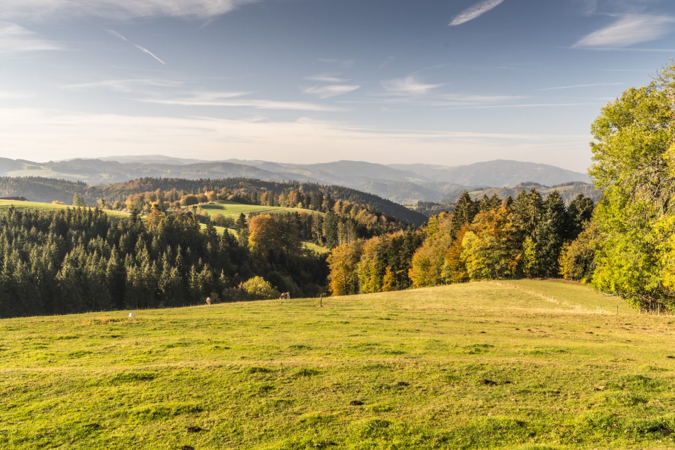 Herbst im Hochschwarzwald, St. Märgen Herbst im Hochschwarzwald, St. Märgen