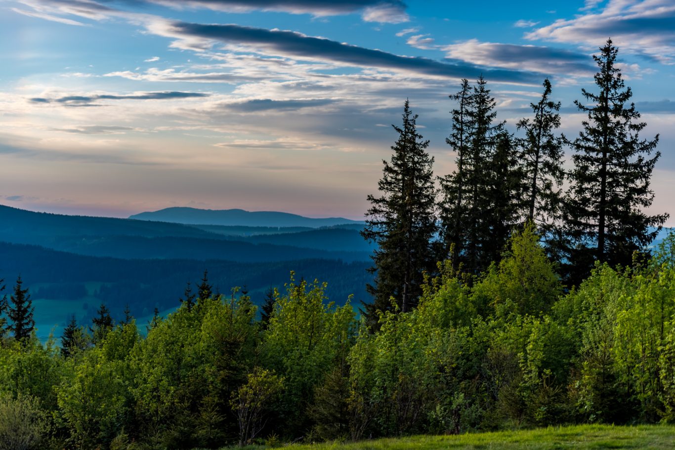 Abendstimmung am Hochfirst Abendstimmung am Hochfirst